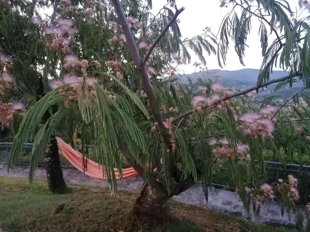 Casina In Pietra Villa Pistoia Luaran gambar